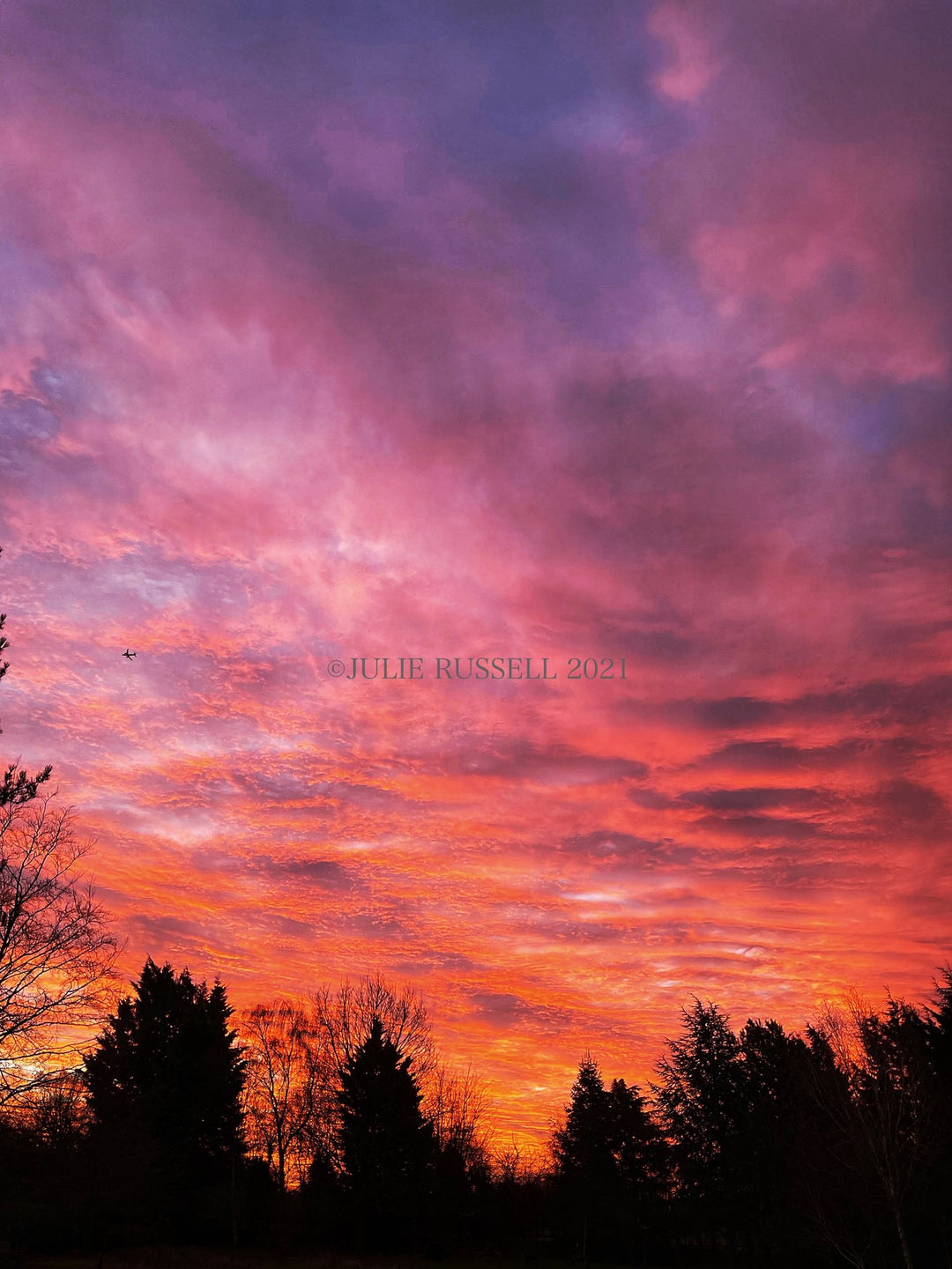 Literary winters, cosmic Christmas and reflections on a year