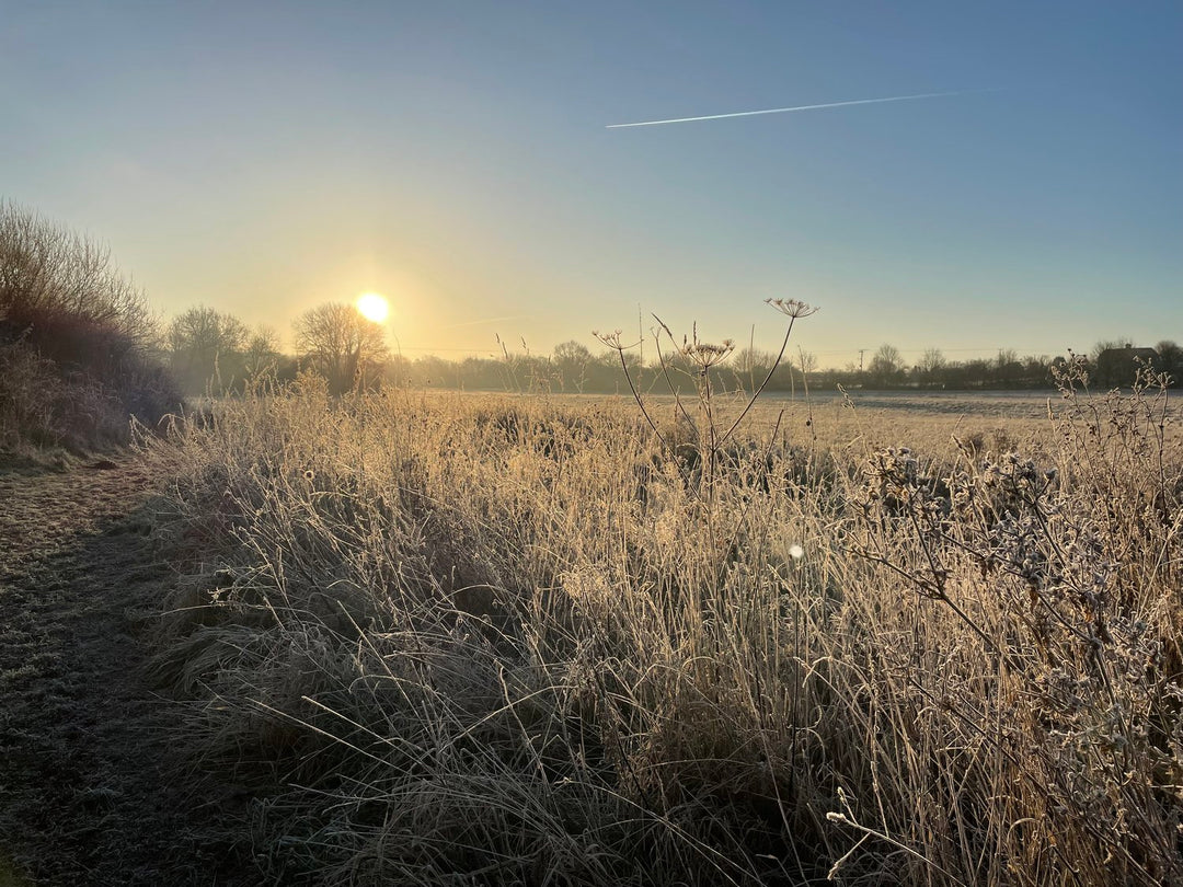 Supporting charities and organisations in 2022