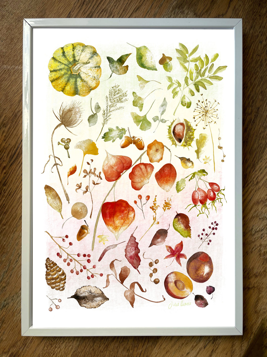 Autumn Colours A4 Art Print | High Quality Archival Paper | Autumn leaves, florals & fruit | Natural Fall Colors
