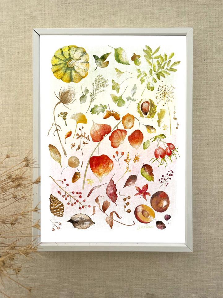 Autumn Colours A4 Art Print | High Quality Archival Paper | Autumn leaves, florals & fruit | Natural Fall Colors