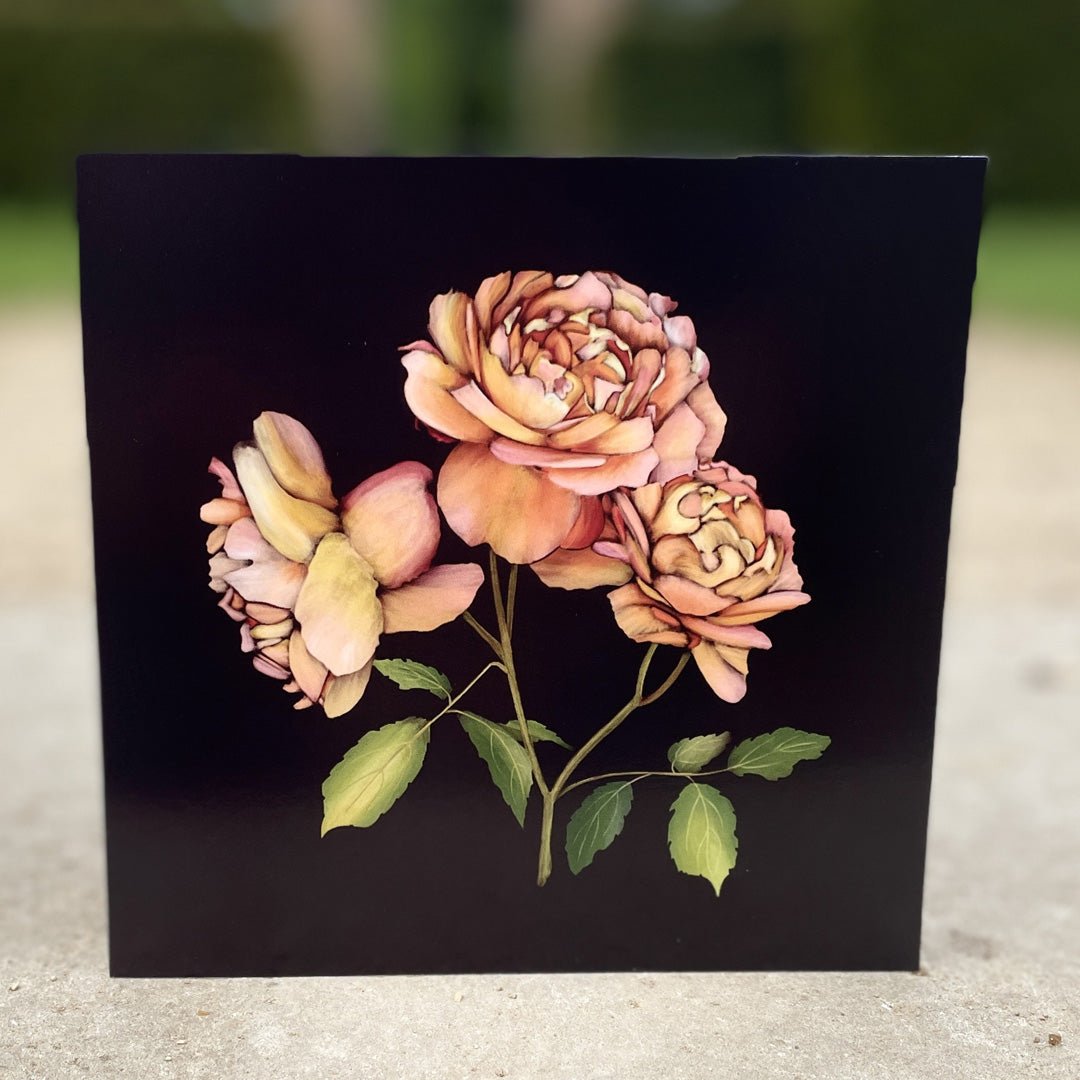 Roses from The Floral Garden Collection Greetings Card | Blank Inside | All occasions | Notecard | Botanical design | Vintage & Vibrant